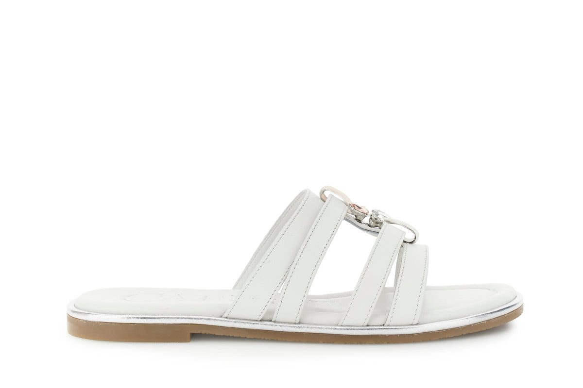 gid://shopify/Product/16122336772428_58876210086220