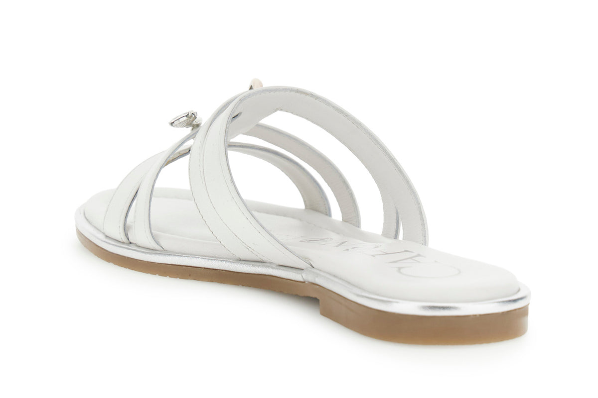 gid://shopify/Product/16122336772428_2