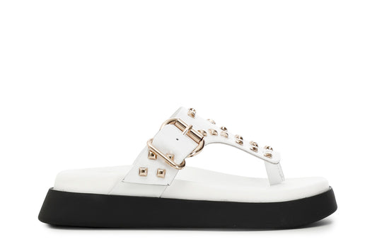 gid://shopify/Product/15782517637452_57658399588684