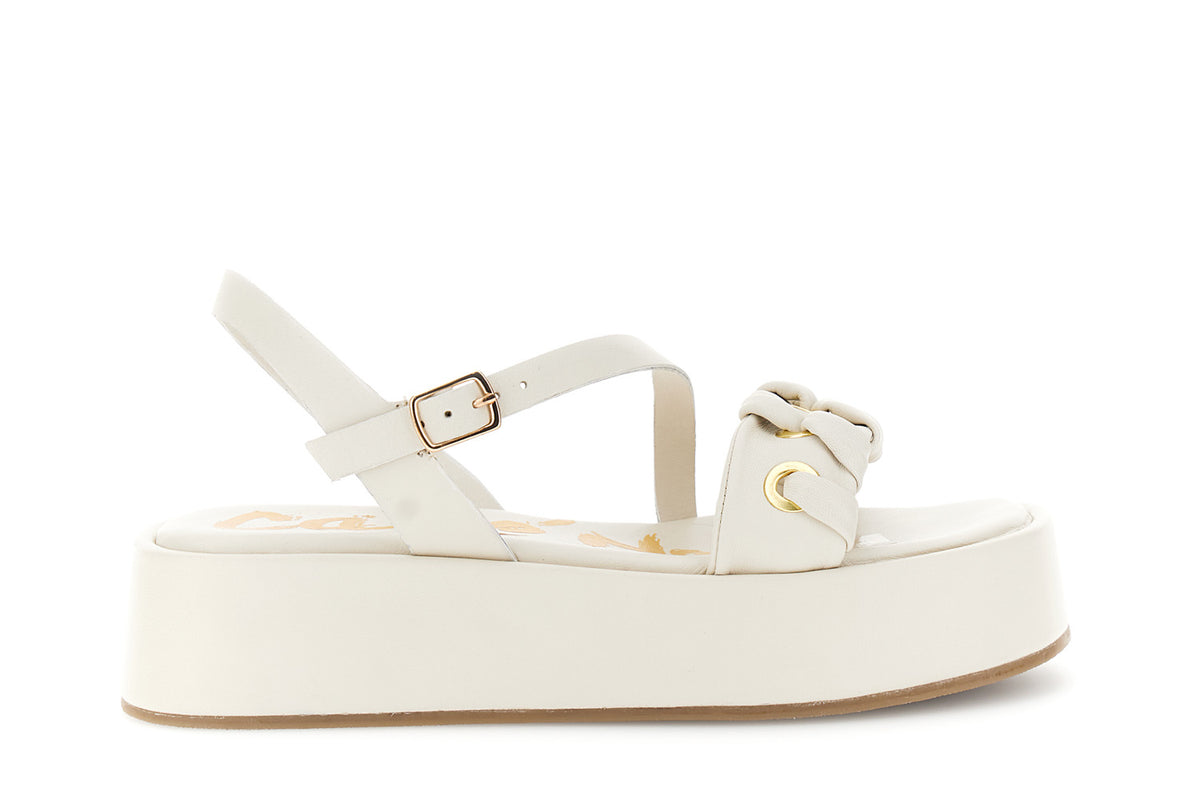 gid://shopify/Product/16122345980236_58876275327308