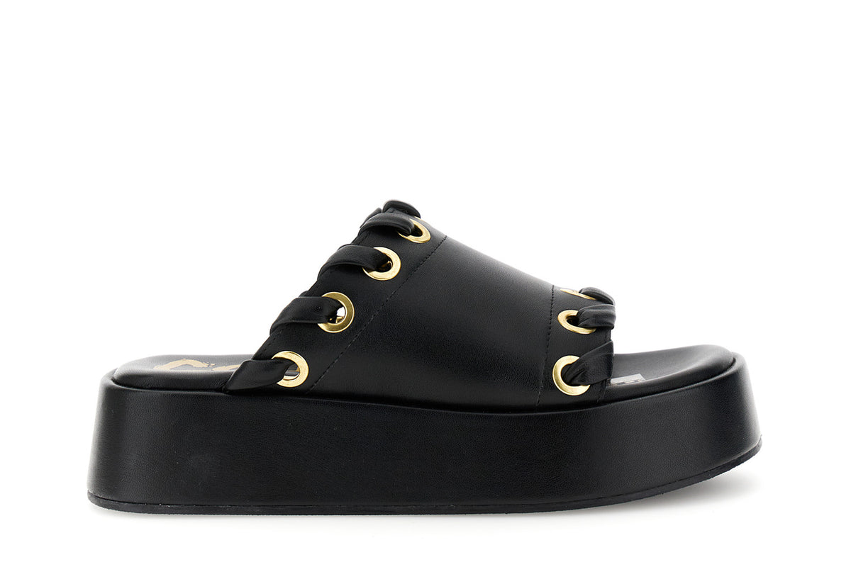 gid://shopify/Product/16122346996044_58876276670796