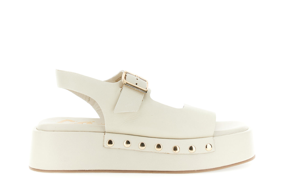 gid://shopify/Product/16122348372300_58876279849292