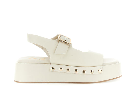 gid://shopify/Product/16122348372300_58876279849292