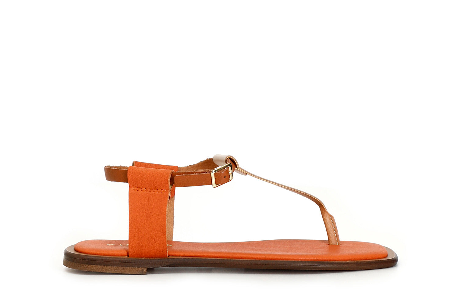 gid://shopify/Product/15782715261260_1