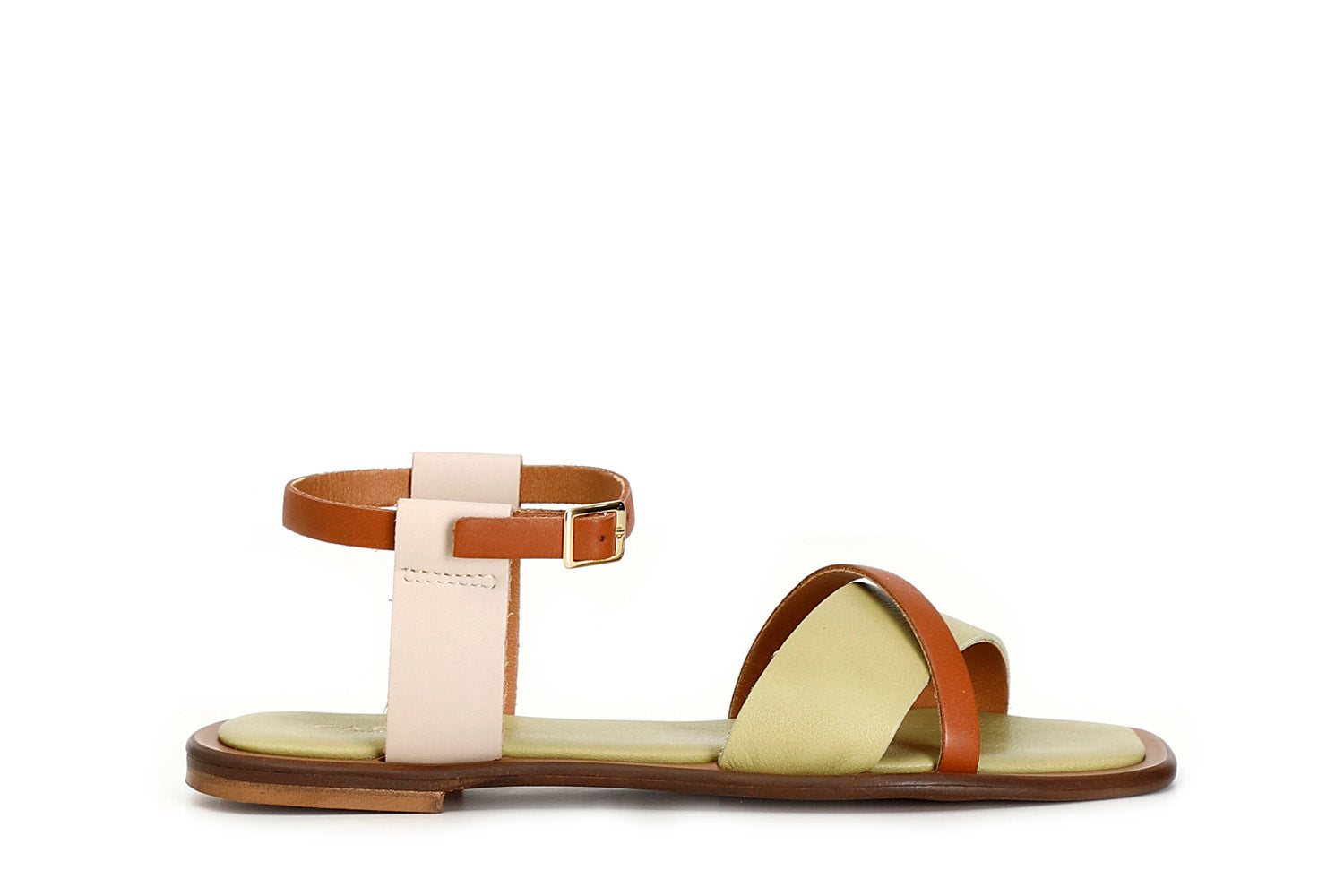 gid://shopify/Product/15782716145996_1