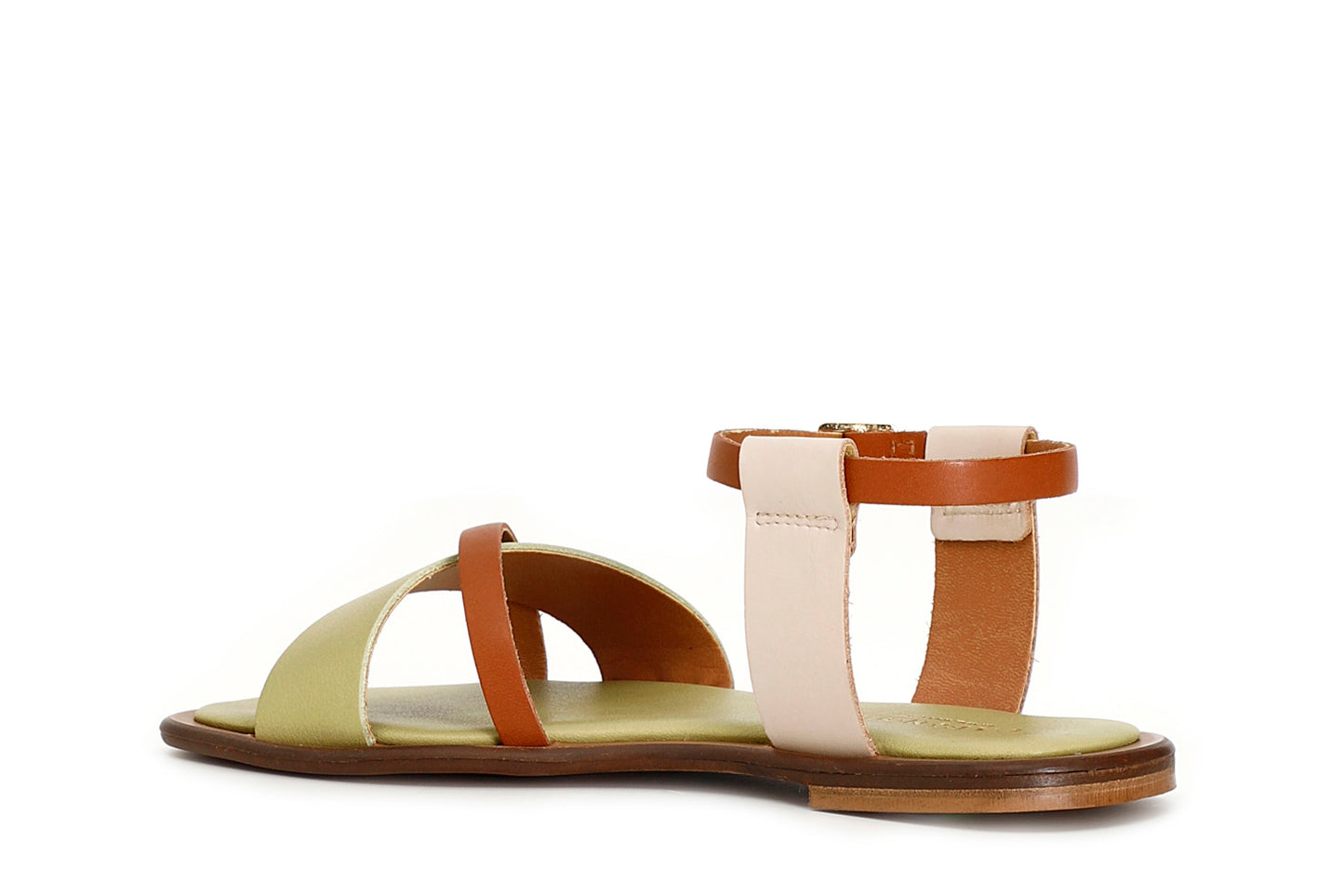gid://shopify/Product/15782716145996_2
