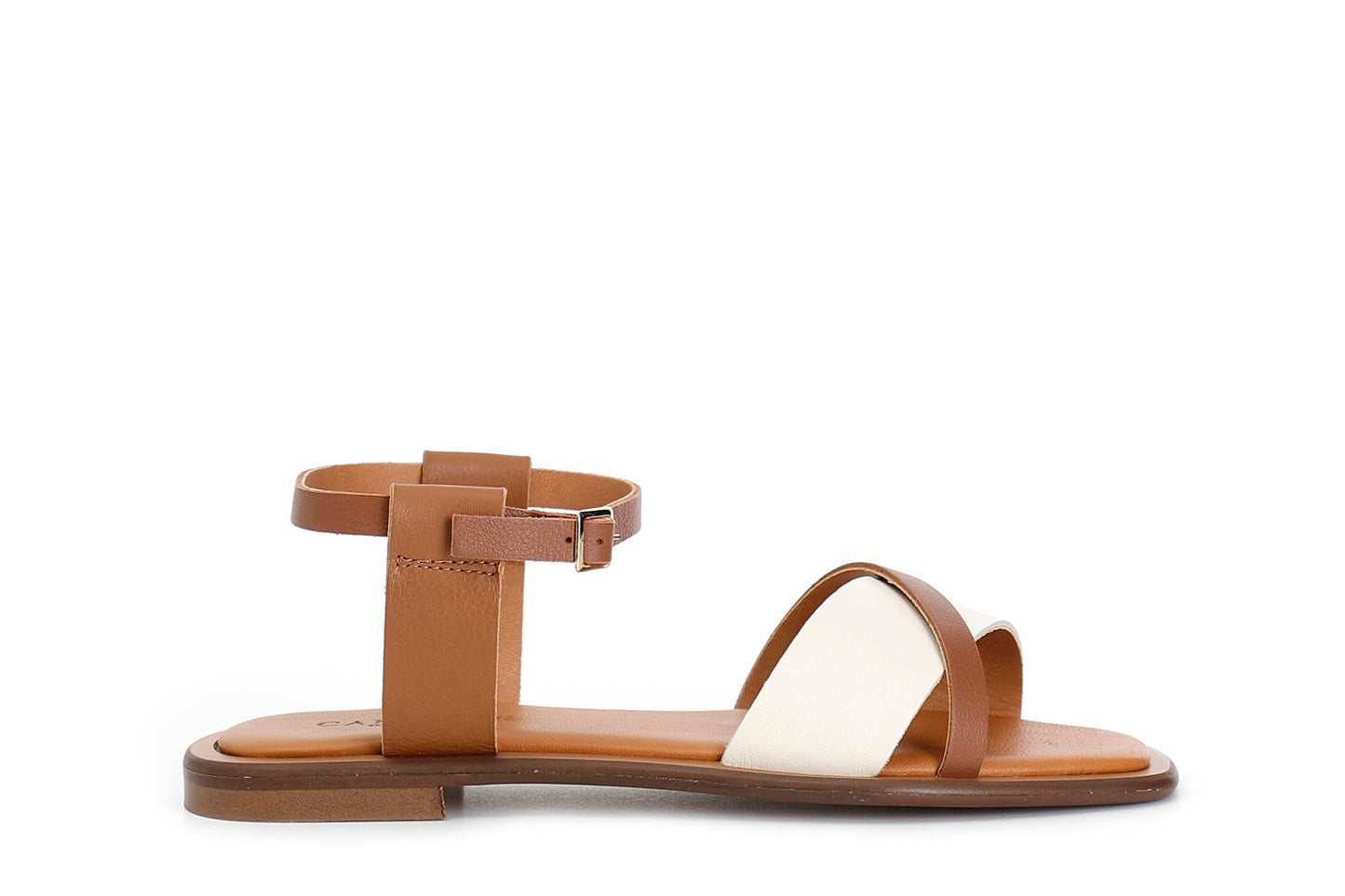 gid://shopify/Product/15782716145996_57659549811020