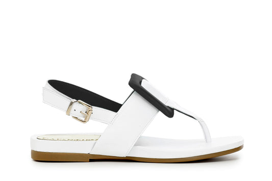 gid://shopify/Product/15782536380748_57658433044812