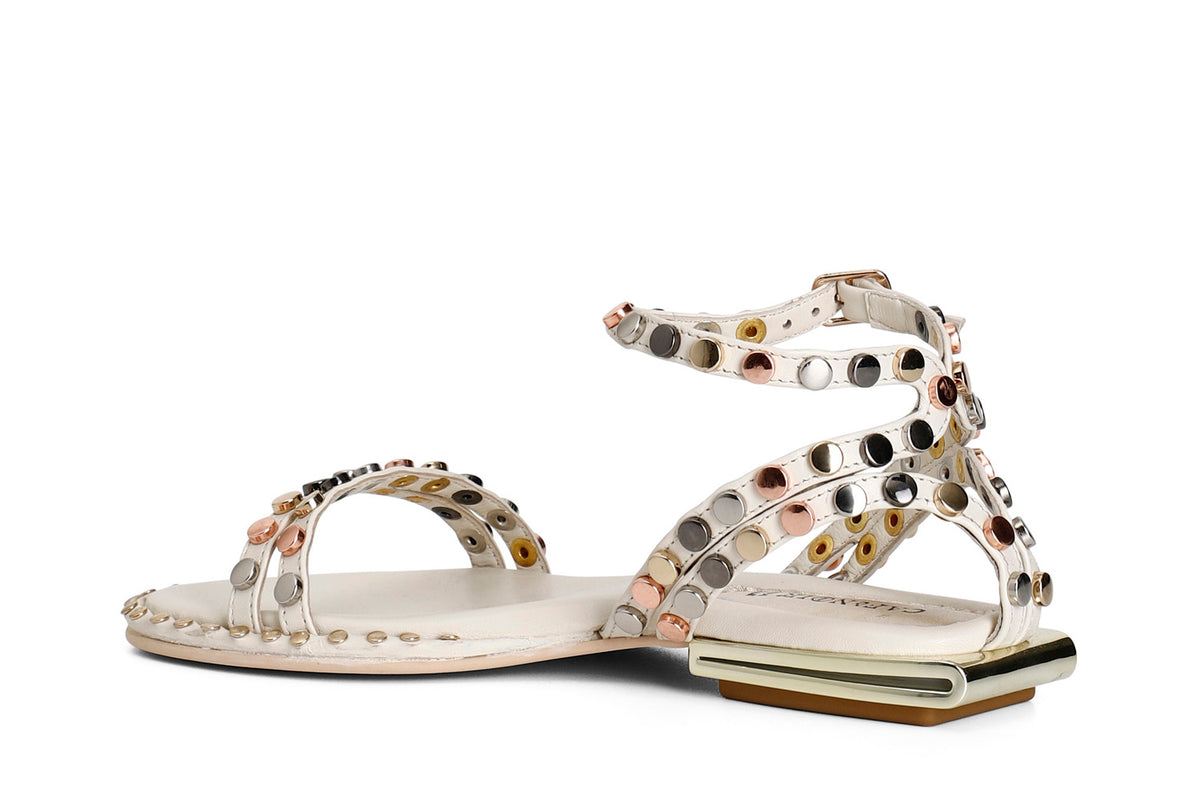 gid://shopify/Product/16122072662348_2
