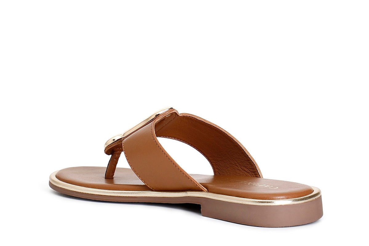 gid://shopify/Product/16122029834572_2