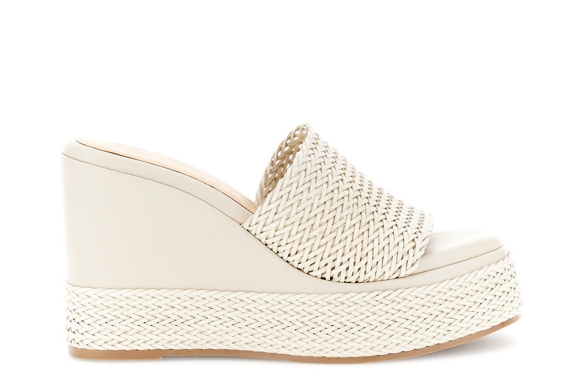 gid://shopify/Product/16122354041164_1