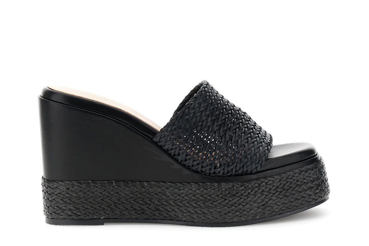 gid://shopify/Product/16122354041164_58876305342796