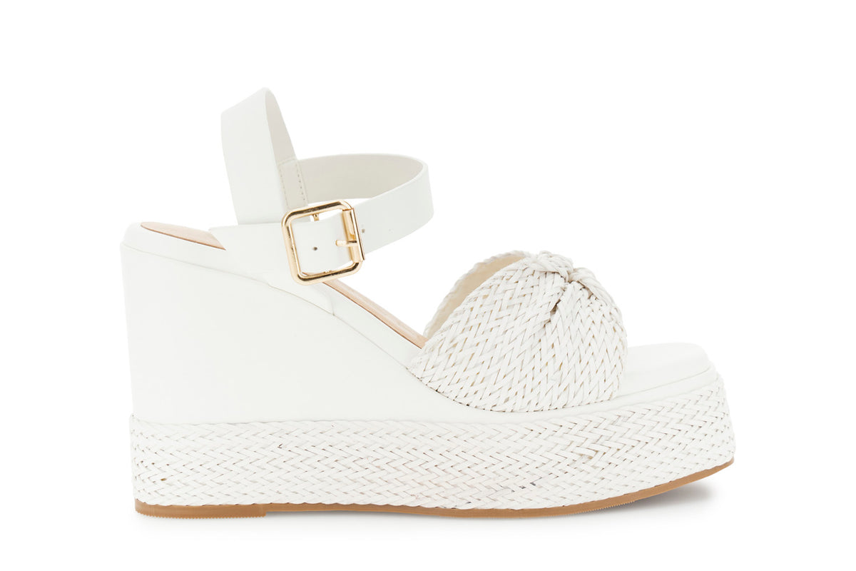 gid://shopify/Product/16176257302860_1