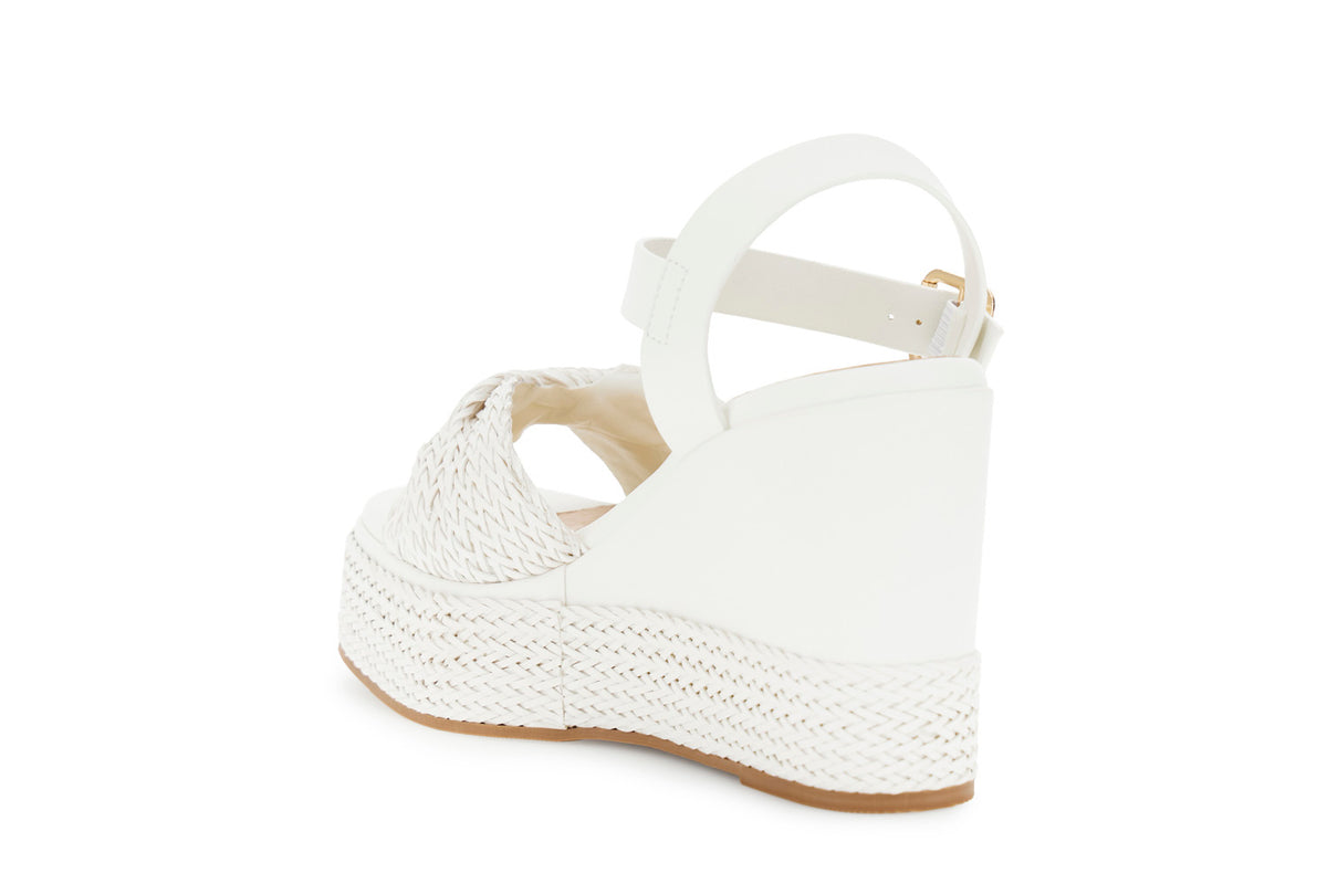 gid://shopify/Product/16176257302860_2