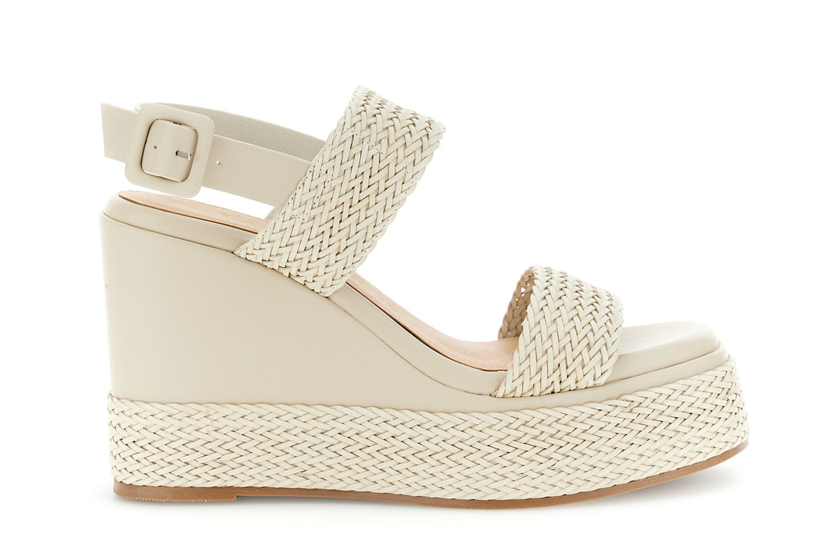 gid://shopify/Product/16122355777868_58876308193612