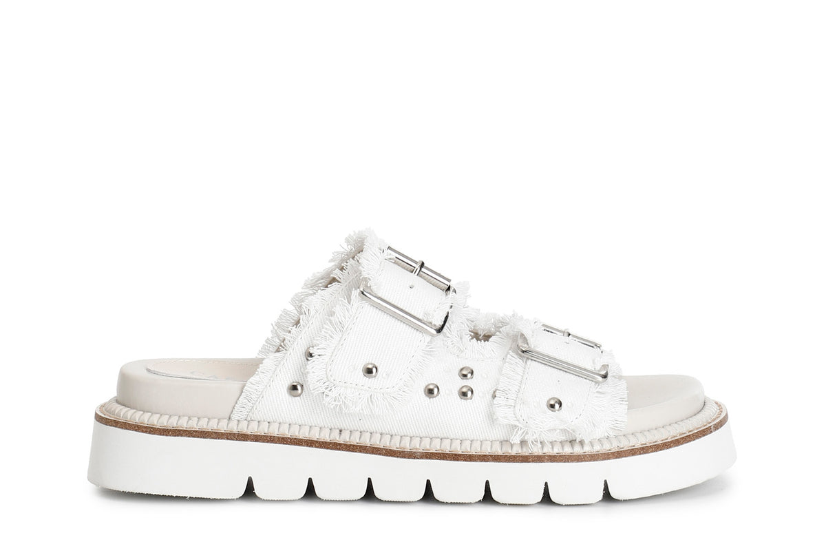 gid://shopify/Product/16122043498828_58874386350412