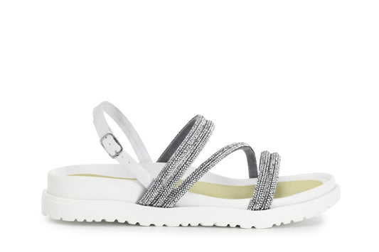 gid://shopify/Product/15782732267852_57659755069772