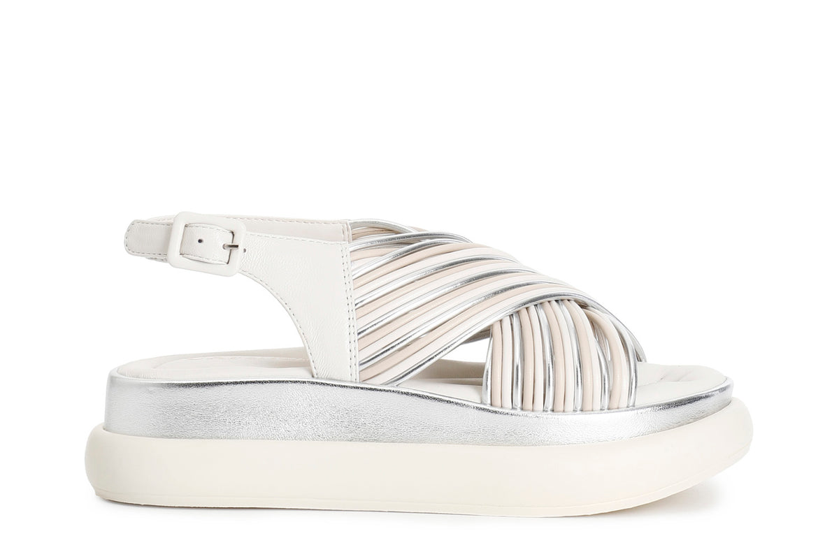 gid://shopify/Product/16122050871628_58874406764876