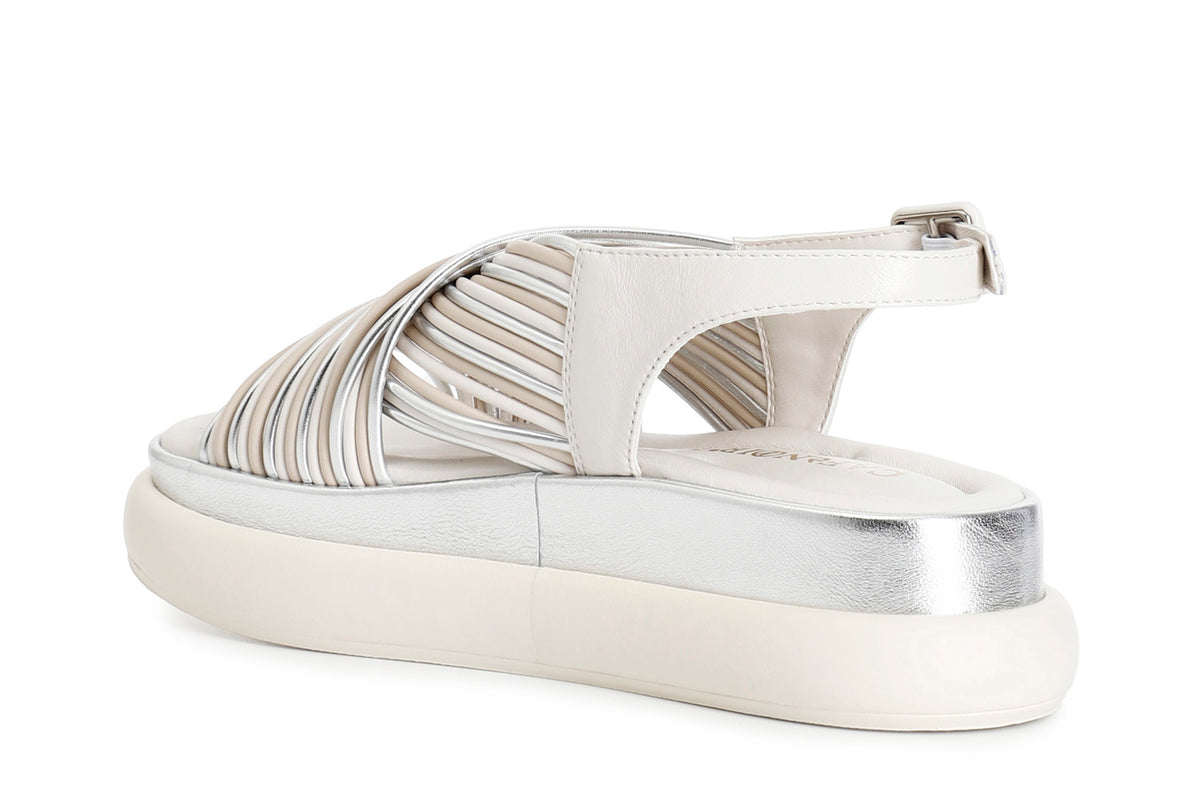 gid://shopify/Product/16122050871628_2
