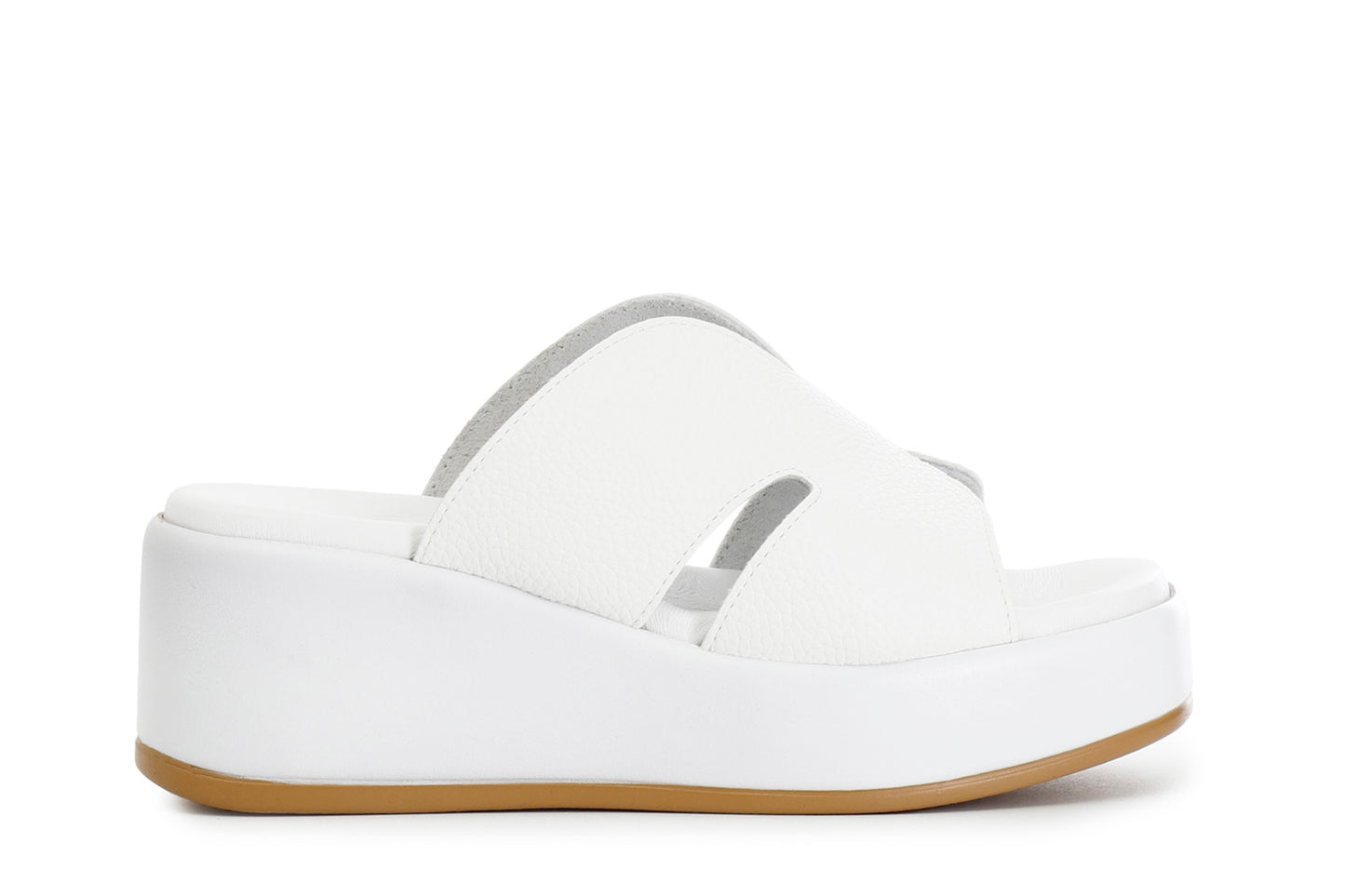 gid://shopify/Product/15783023051084_57661800251724