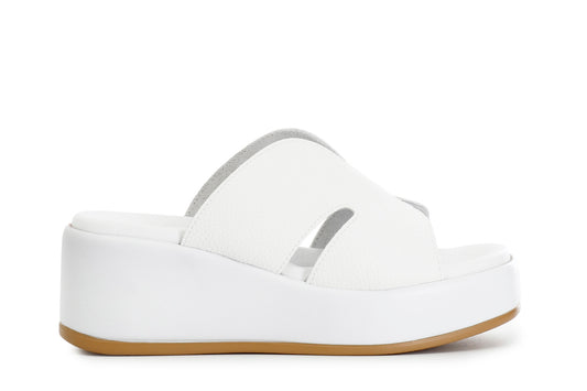 gid://shopify/Product/15783023051084_57661800251724