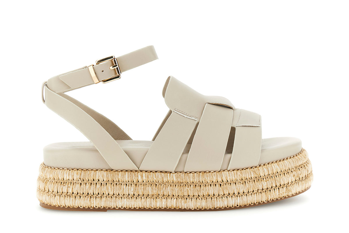gid://shopify/Product/16122384777548_1