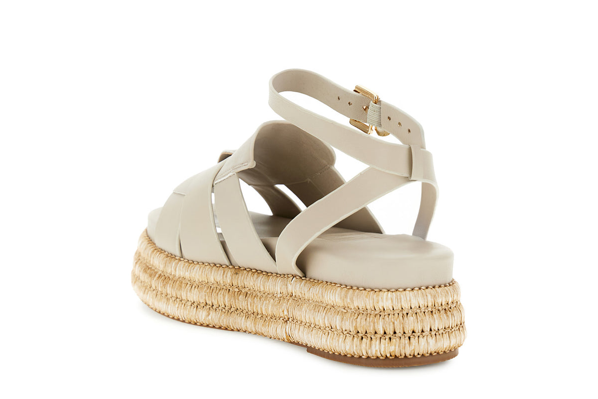 gid://shopify/Product/16122384777548_2