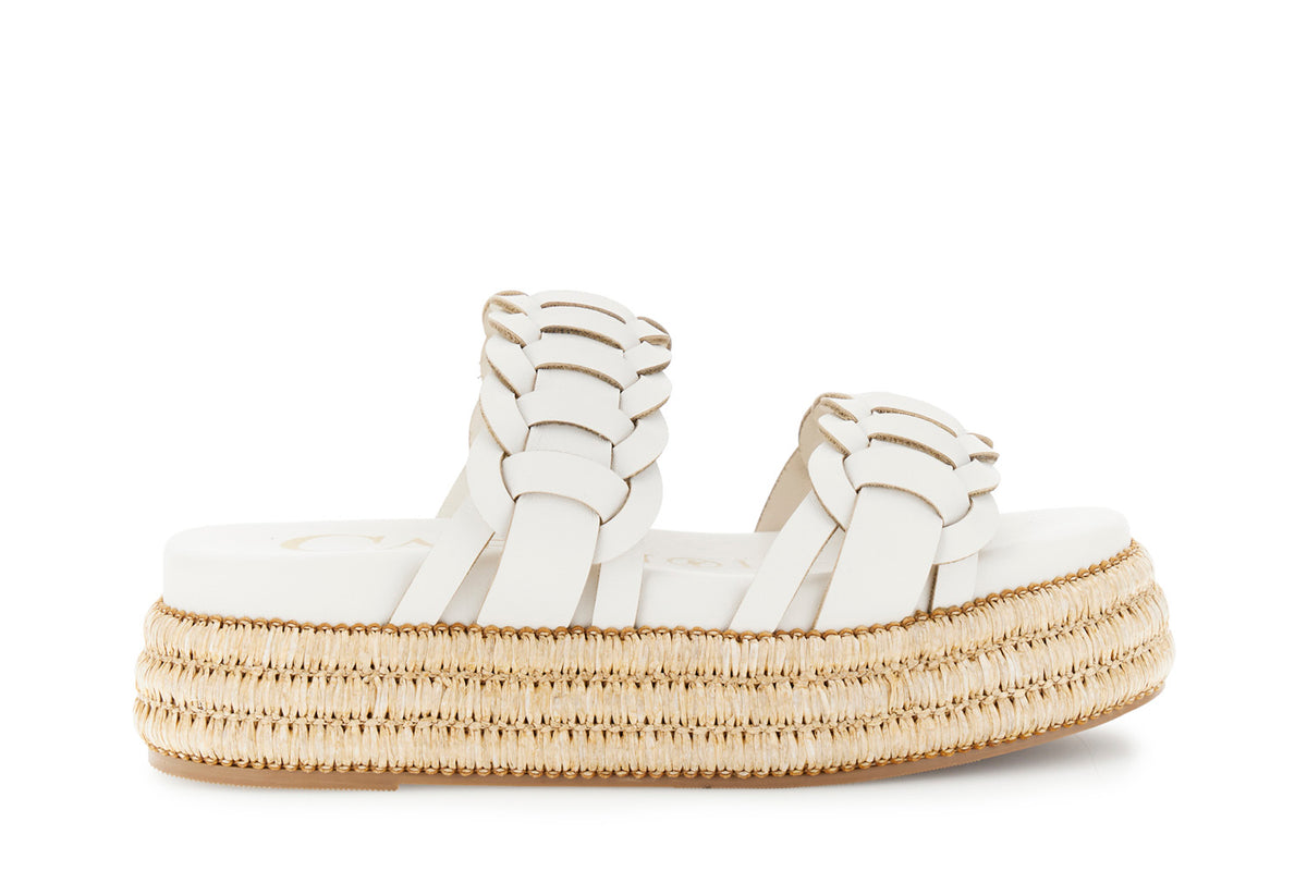 gid://shopify/Product/16122360267084_58876319072588