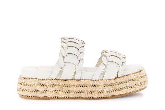 gid://shopify/Product/16122360267084_58876319072588