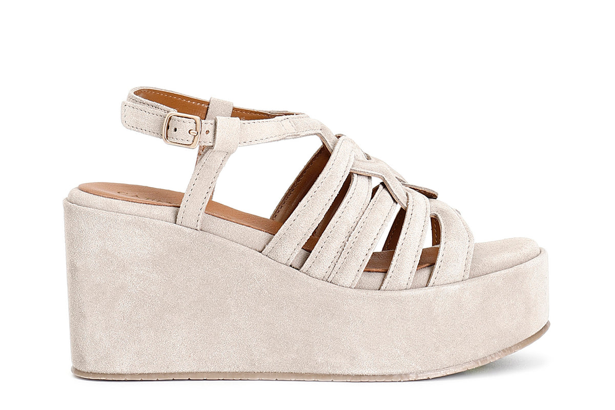 gid://shopify/Product/16122065420620_1