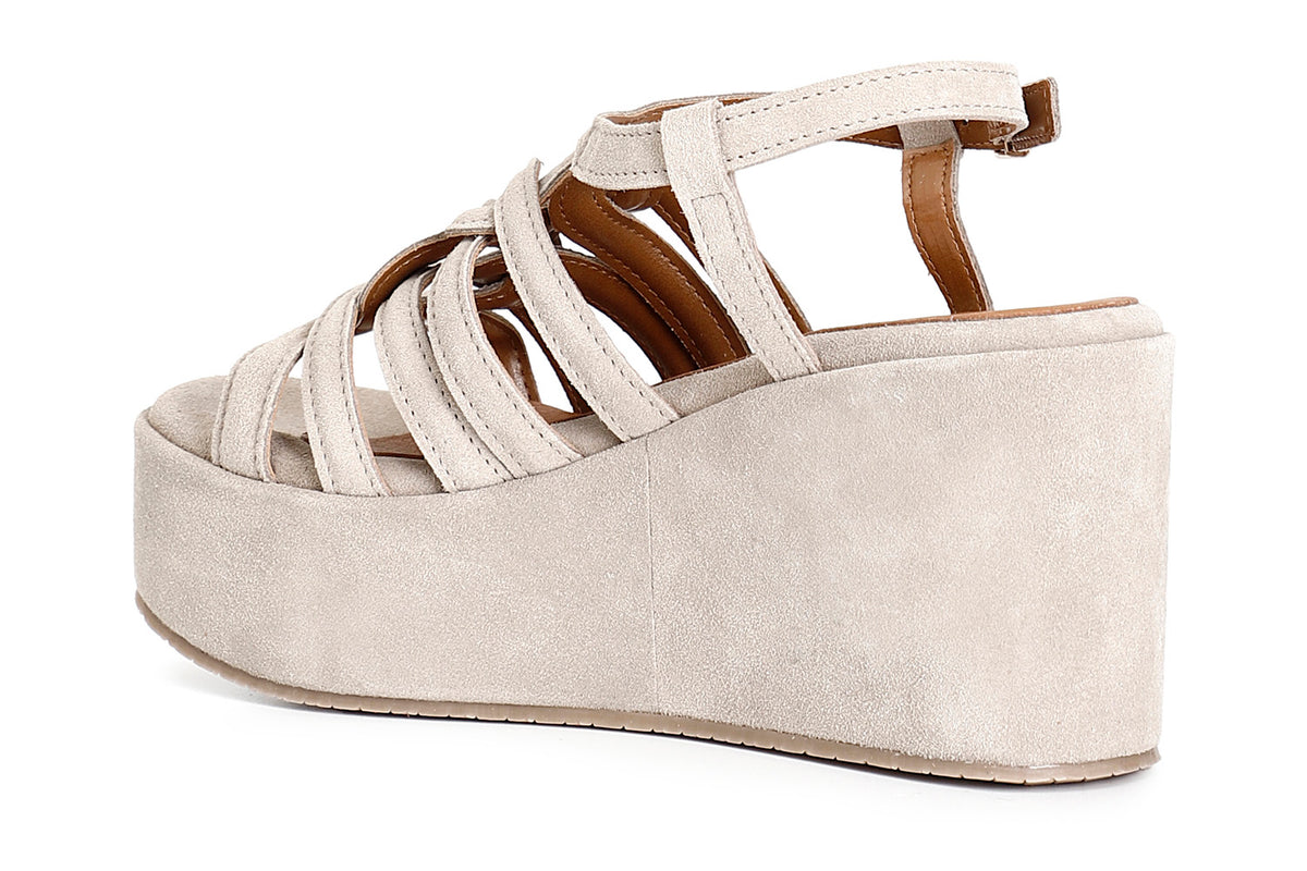 gid://shopify/Product/16122065420620_2