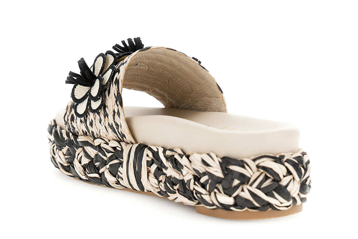 gid://shopify/Product/16122369278284_2