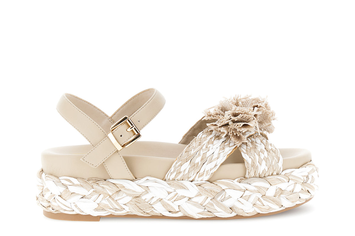 gid://shopify/Product/16122371801420_58876407021900