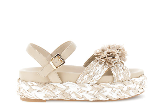 gid://shopify/Product/16122371801420_58876407021900