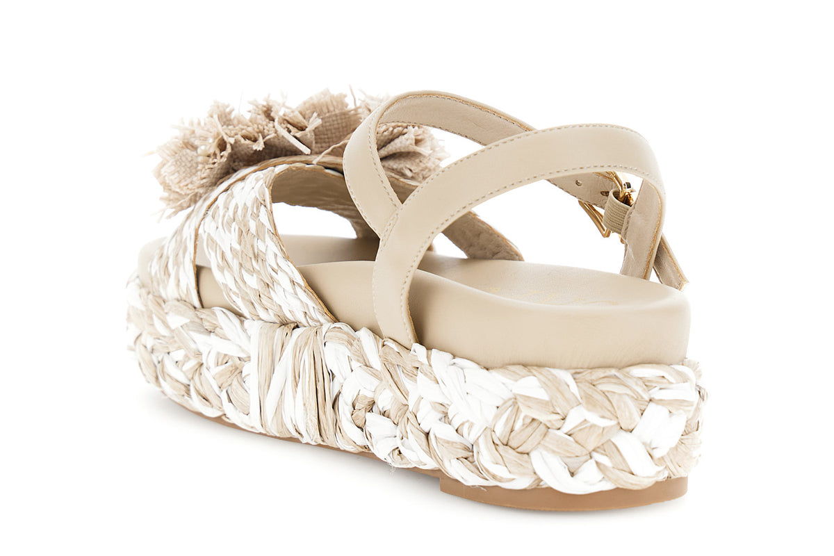 gid://shopify/Product/16122371801420_2