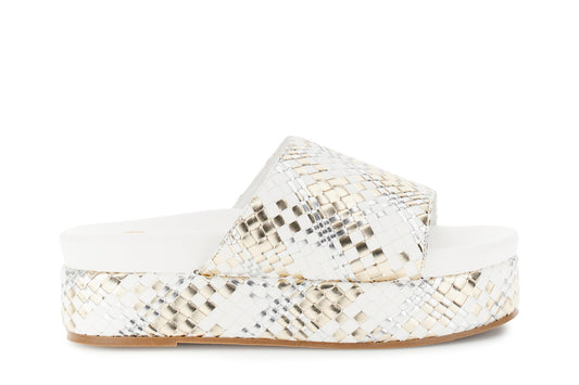 gid://shopify/Product/16122372817228_58876409053516