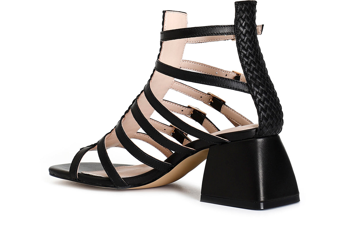 gid://shopify/Product/16122080919884_2