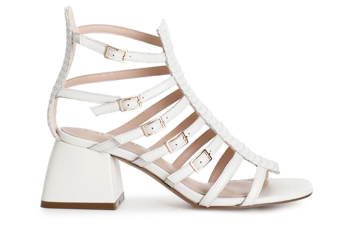 gid://shopify/Product/16122080919884_58874514637132