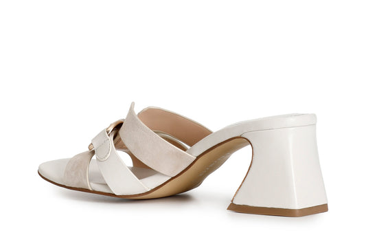 gid://shopify/Product/15783031865676_2