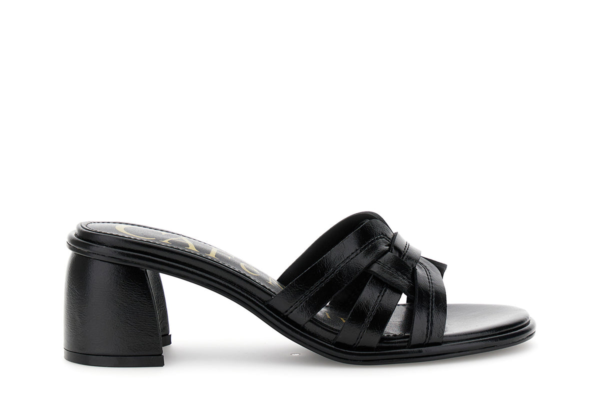 gid://shopify/Product/16122374193484_58876418621772