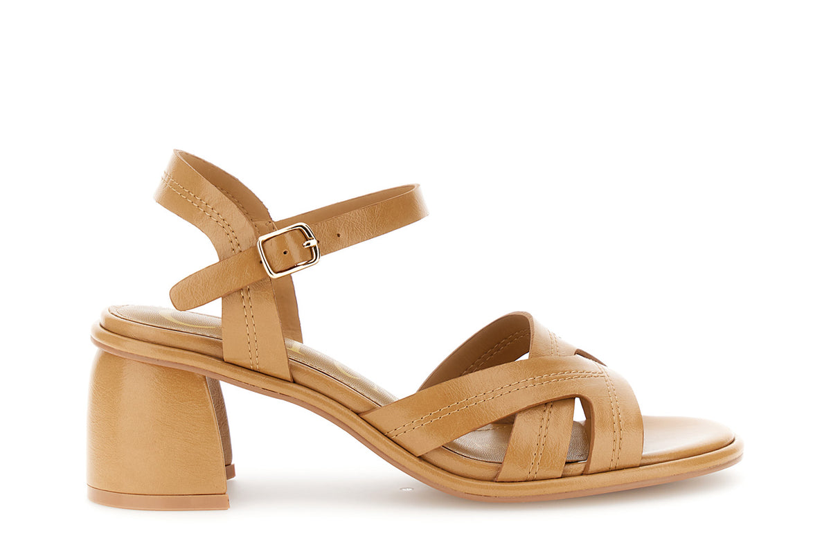 gid://shopify/Product/16122375405900_58876424880460