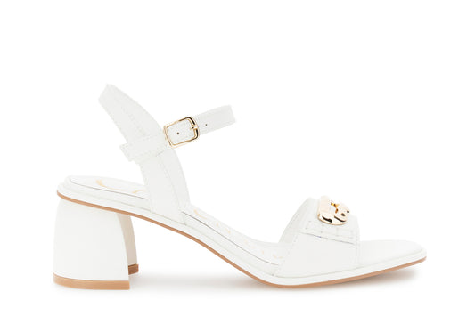 gid://shopify/Product/16176280797516_1