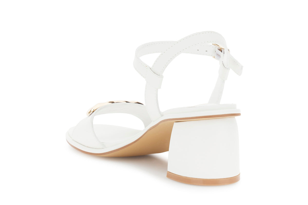 gid://shopify/Product/16176280797516_2