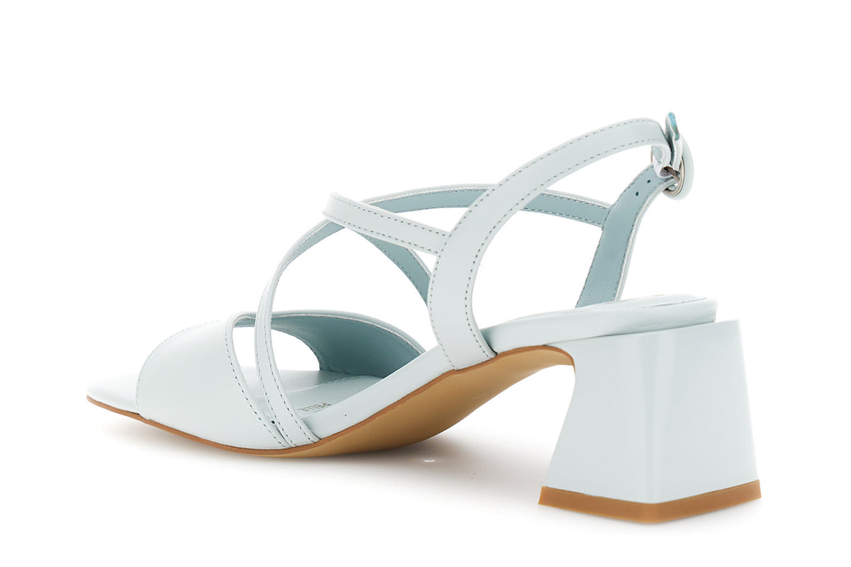 gid://shopify/Product/16122379829580_2