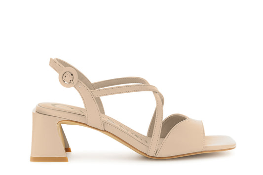 gid://shopify/Product/16122379829580_58876439462220