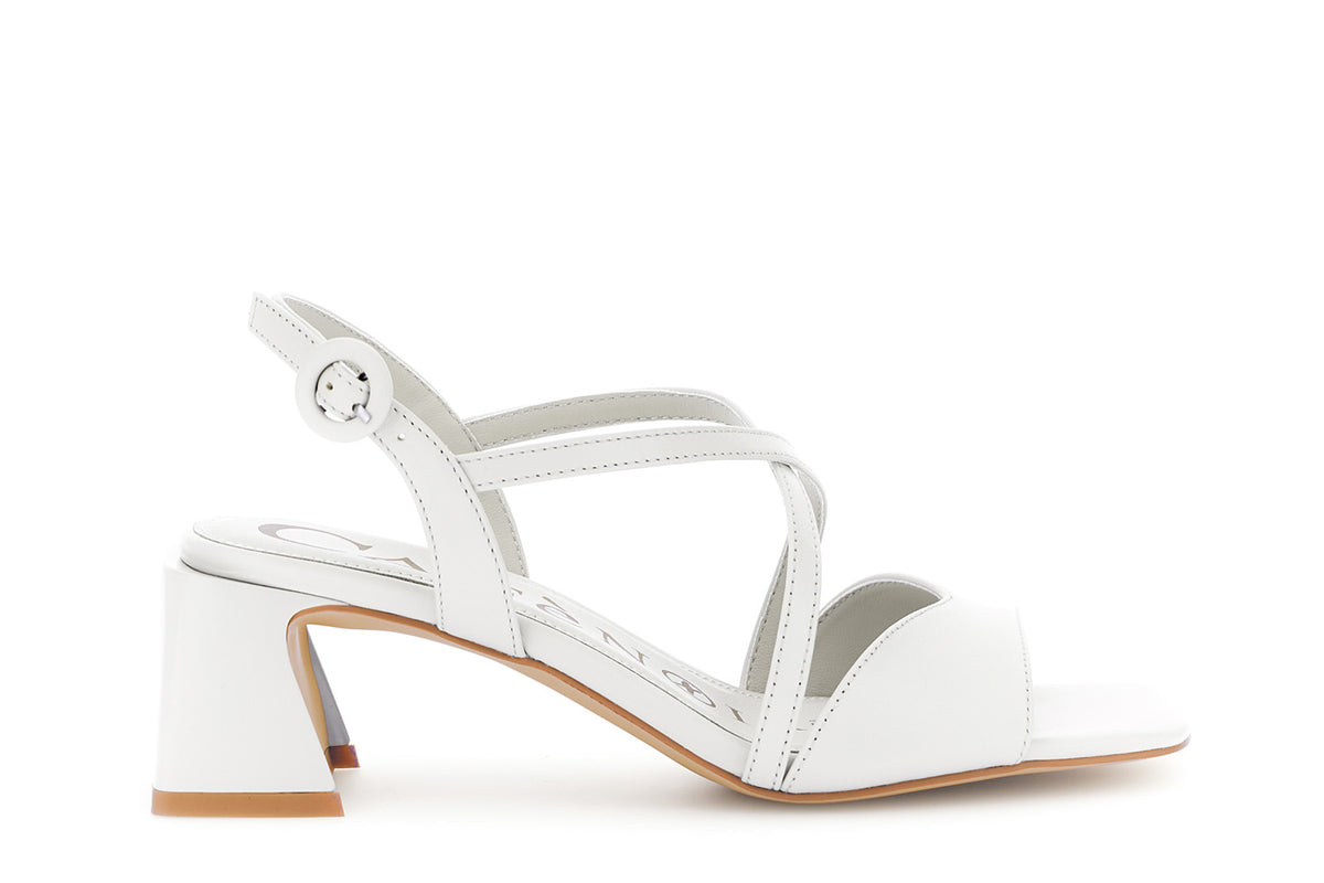 gid://shopify/Product/16122379829580_58876439855436