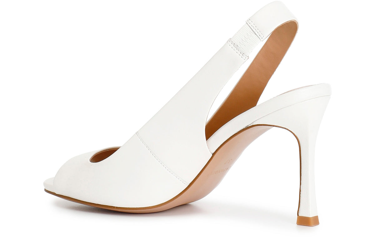 gid://shopify/Product/16121891455308_2