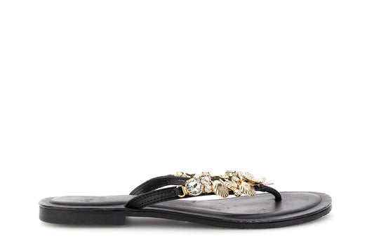 gid://shopify/Product/16176316842316_59122824675660