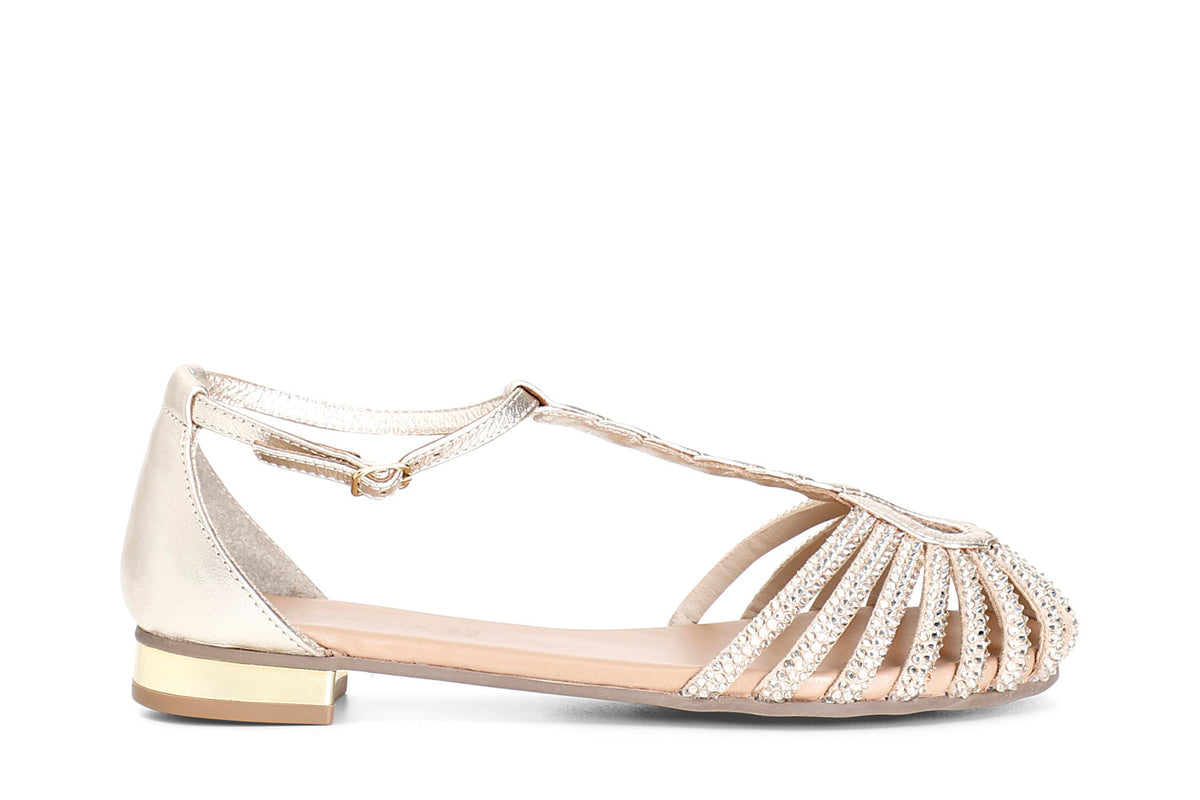 gid://shopify/Product/16121913672012_58873695240524