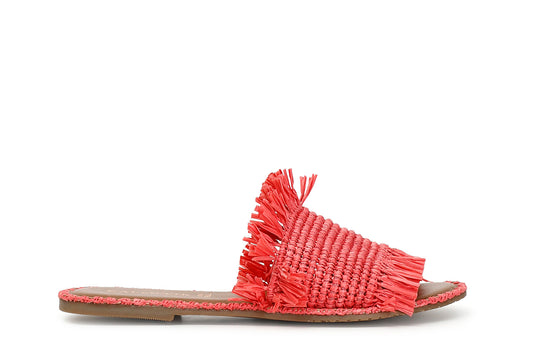 gid://shopify/Product/15782667485516_57659120812364